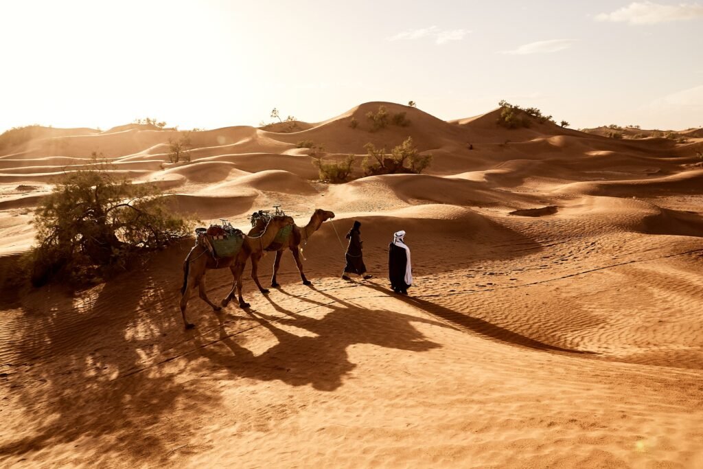 beautiful shot of people walking with their camels in the desert of erg lihoudi in morocco
